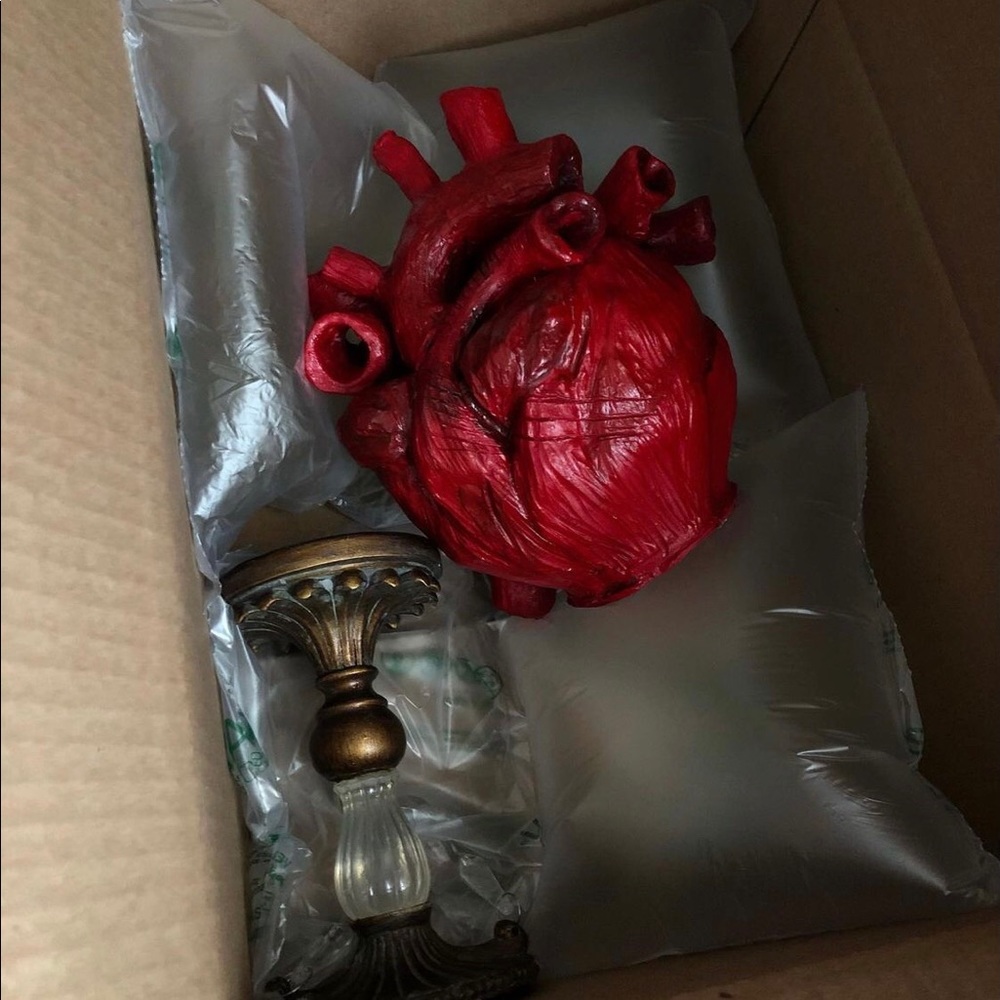 Anatomical Heart Vase